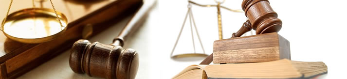 Servicios de Asesor�a Legal